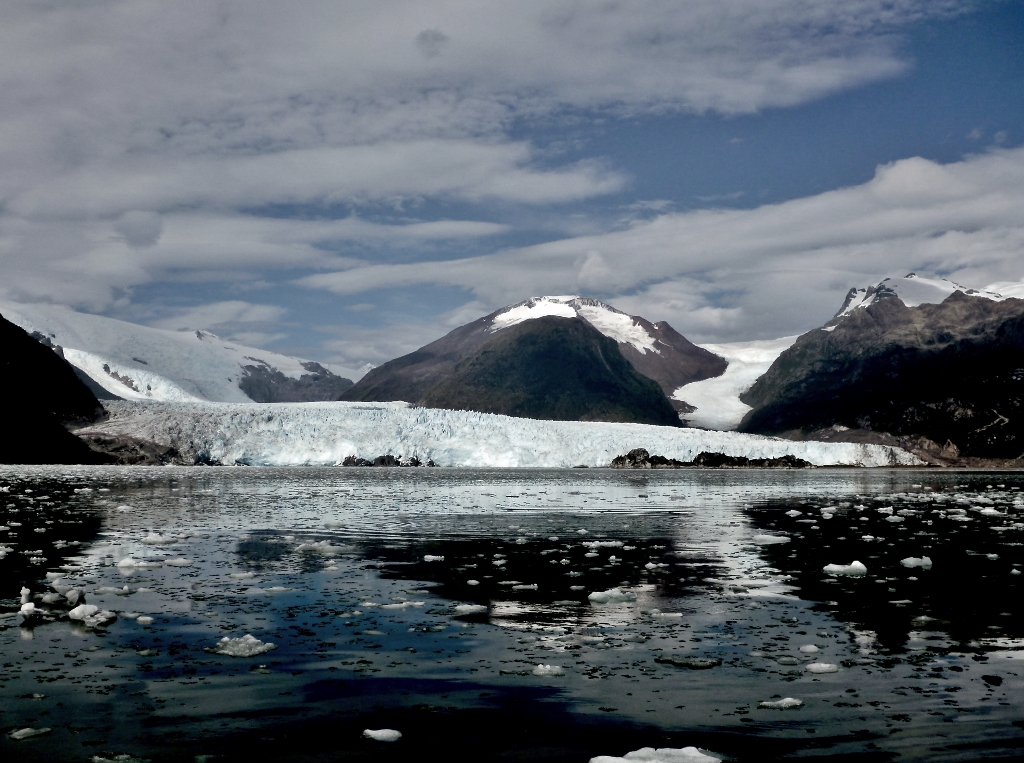 Goodbye Glacier Skua | Green on Blue